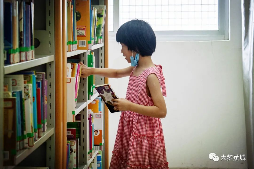夏日避暑好去处，快来图书馆觅书香！
