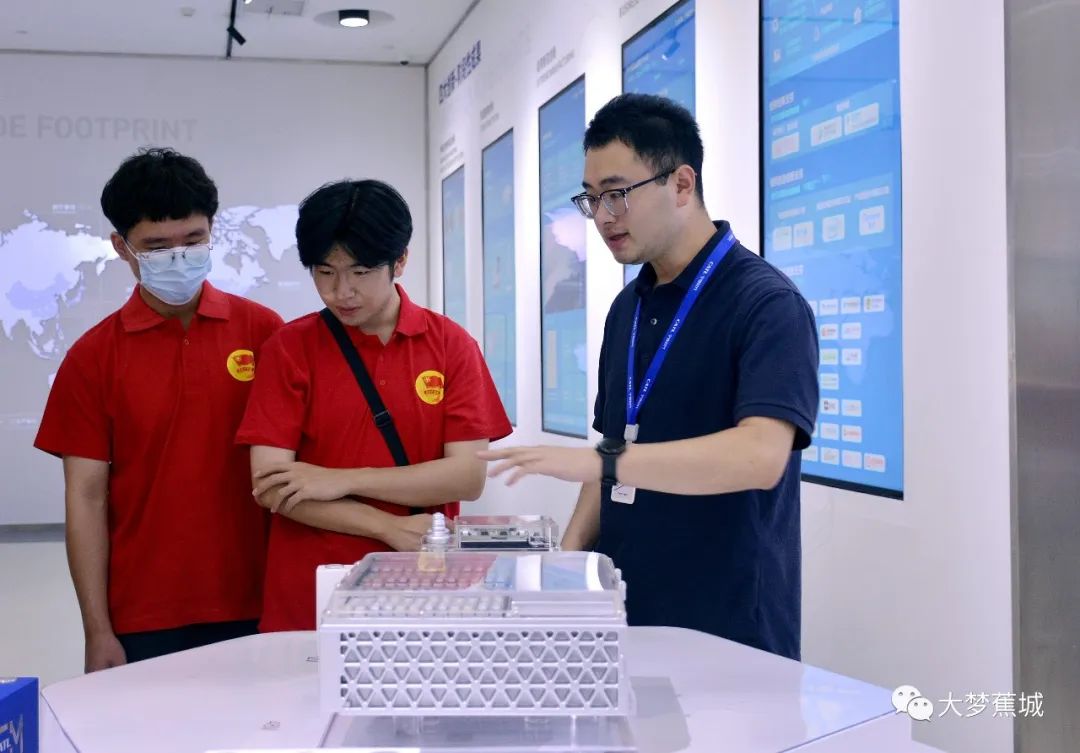 扬帆起航，逐梦蕉城 ！ 蕉城大学生社会实践活动