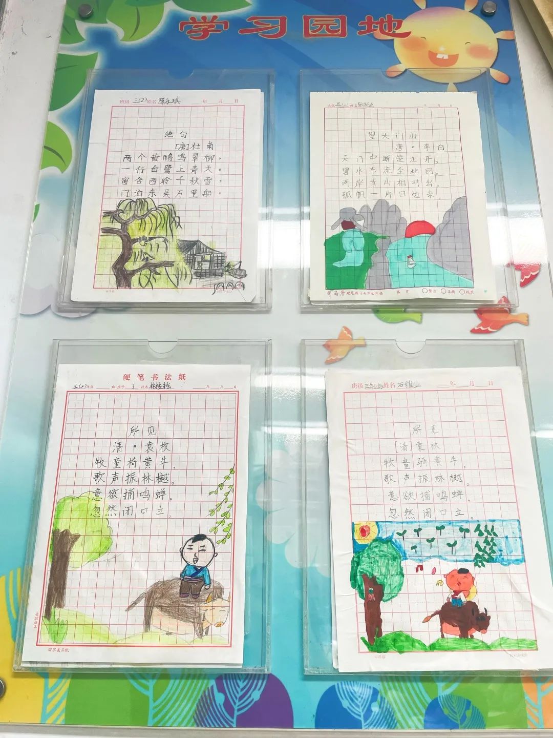 图片