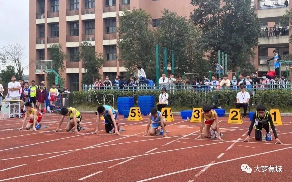 蕉城区中小学田径运动会，各种精彩瞬间，映入眼帘