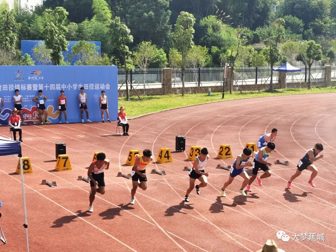 蕉城中小学运动健儿连破4项赛会纪录斩获市级金牌1