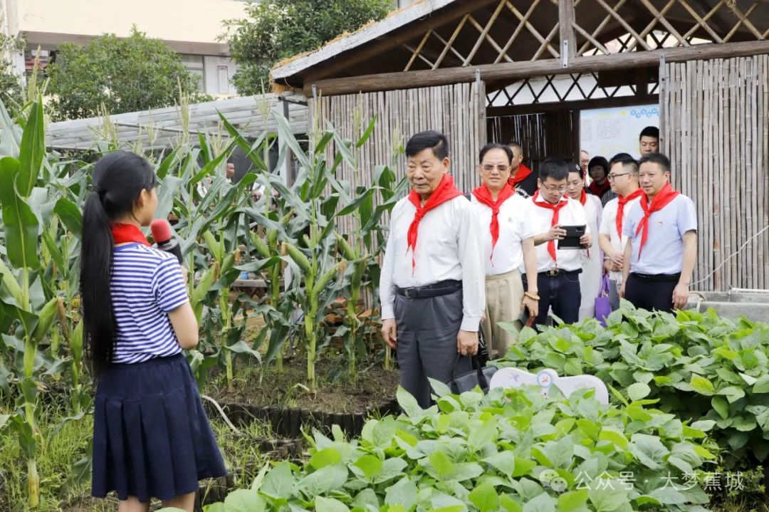 超35万元！“六一”，蕉城多家学校获爱心捐赠→