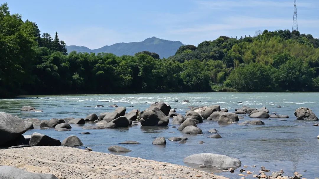 大美宁川 诗意蕉城 | 康桂岳：献给母亲河