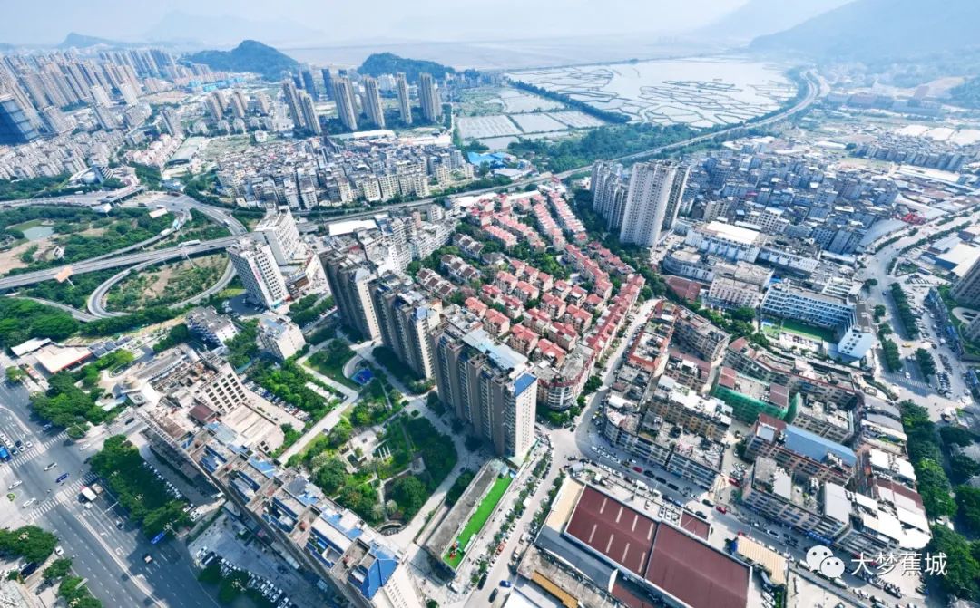 志愿風(fēng)采 | 華建社區(qū)：以愛之名，溫暖每一個角落