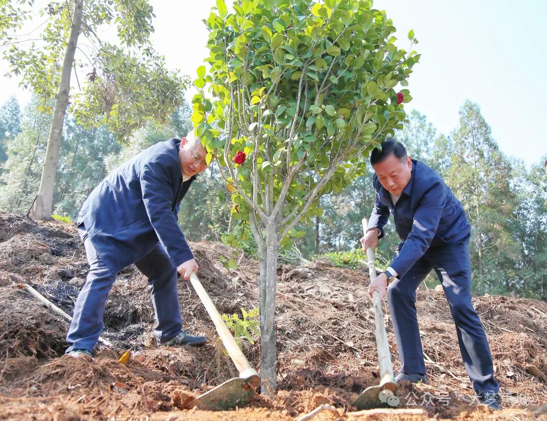 春风十里添新绿！市、区领导参加义务植树活动→