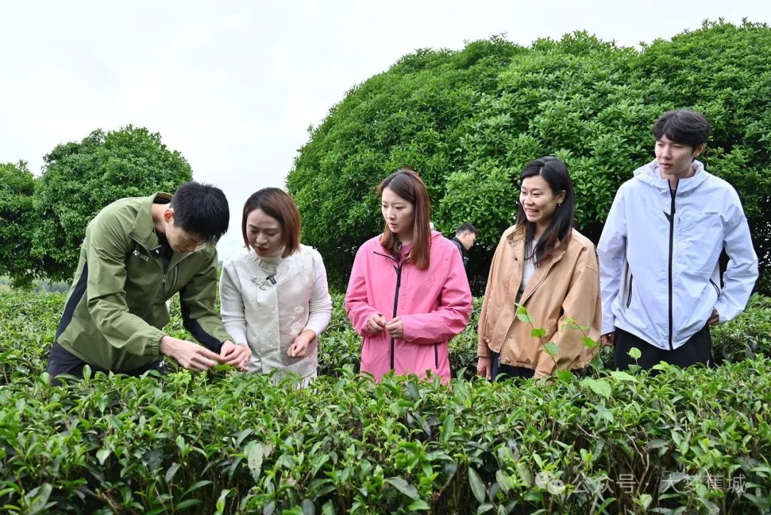 羽壇名將齊聚蕉城！感受山海間的活力與生態(tài)