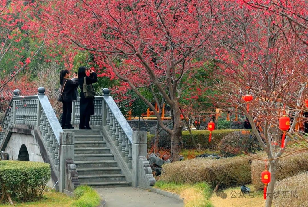 洞天福地·诗画蕉城｜谢宜兴：石堂有神