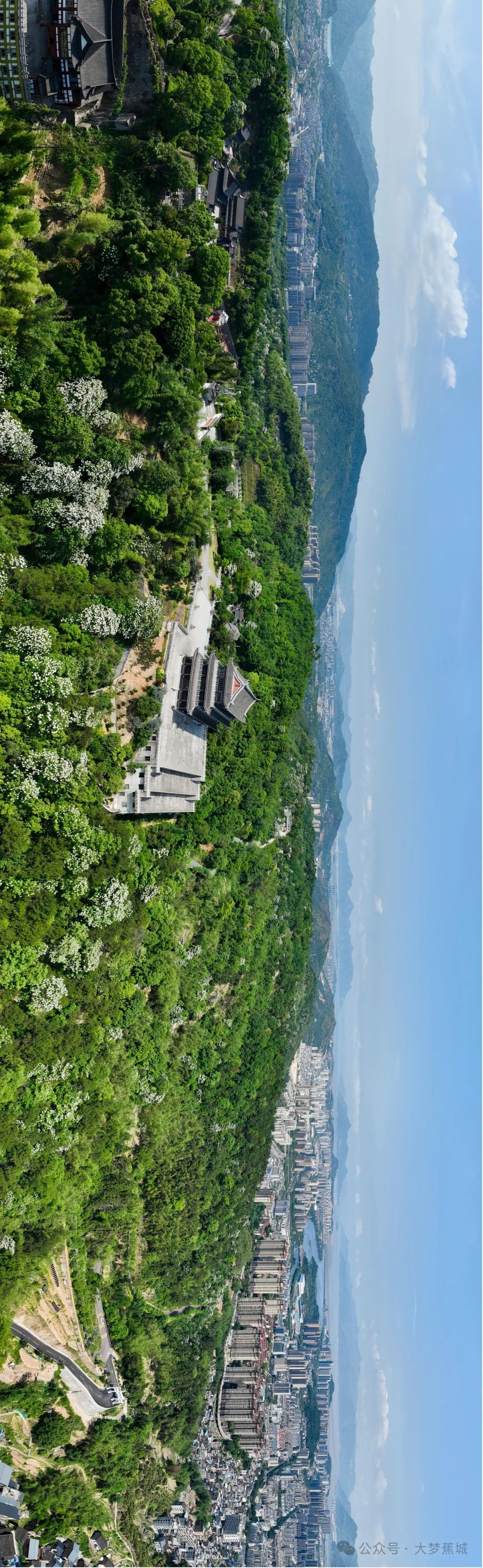 好浪漫！来蕉城，邂逅一场“五月雪”~