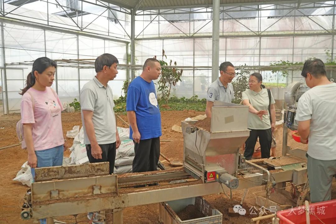 育秧有秘訣？赤溪鎮(zhèn)機(jī)械“神助攻”→