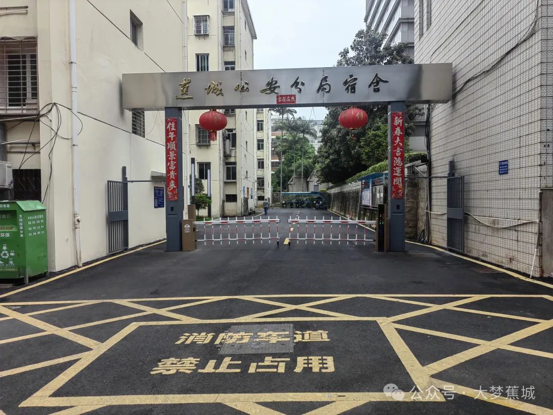 我為群眾辦實事 | 全域招募“紅先鋒”，多元共筑“幸福里”