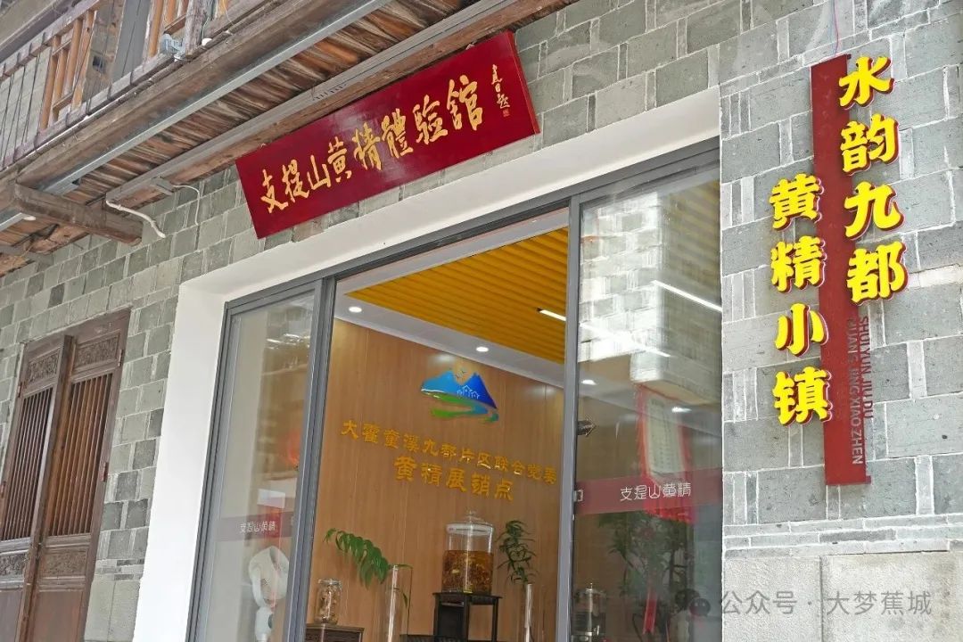 “城鄉(xiāng)互融”！蕉城鄉(xiāng)村振興的“組團密碼”→
