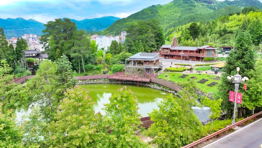 虎贝燕翼书斋：琴声书香共绘乡村文化新景