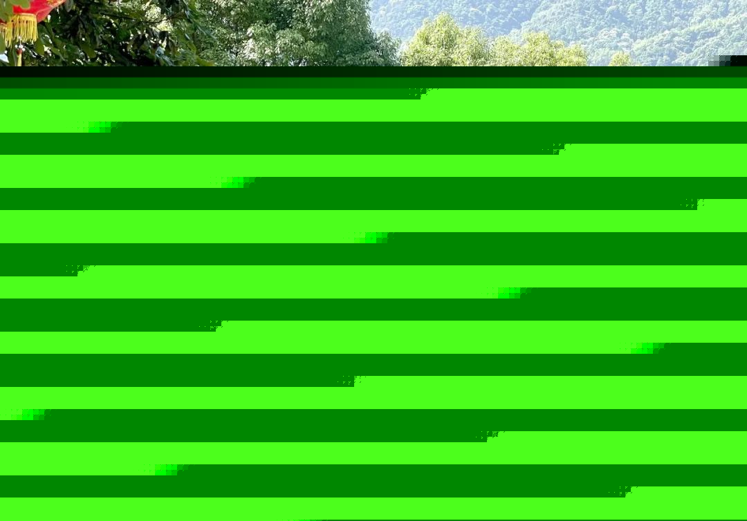 《校园长话教育》第四期！黄浅引：这支口琴，为谁