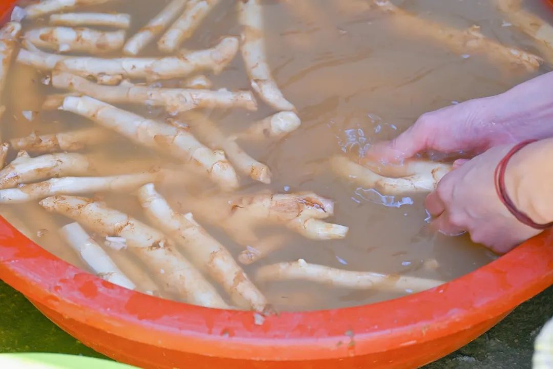 非遗蕉城 | 这一口美味,拴住了洋中人!想家了……