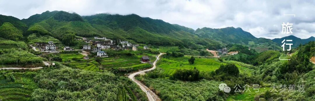 从荒芜到“绿海”!田地村“复垦记”背后的乡村振兴密码