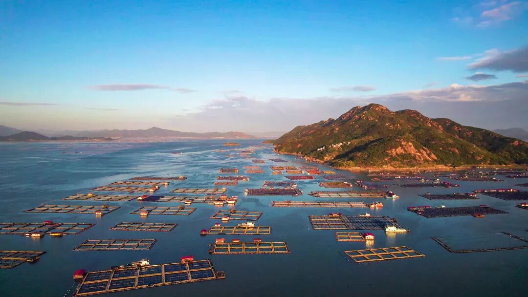便民服务至渔排！ 海上“五好”社区建设成效显著