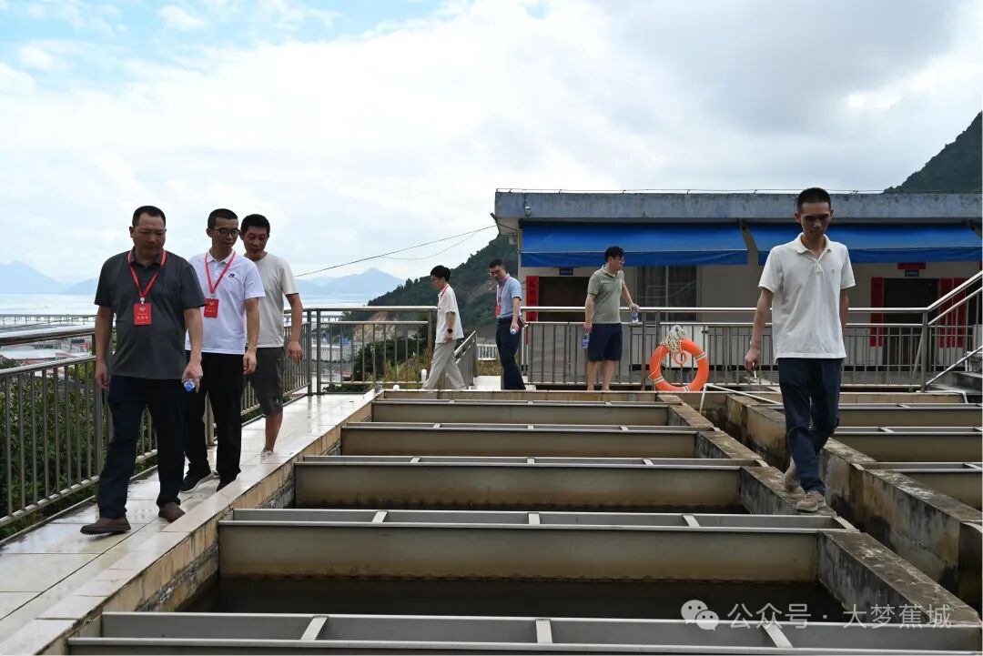 现场直击！蕉城出动，为水箱“洗澡”→