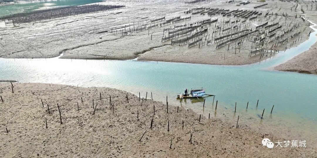 来蕉城八都,邂逅一场“古韵与海味”的浪漫之旅→