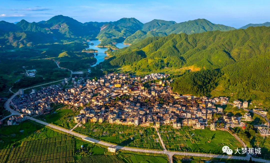 6000亩森林+爆款剧取景地！八都洋头村招募主理人，躺赚“山水+影视”双流量！