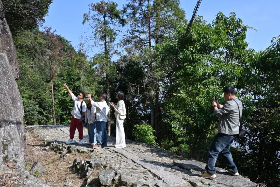 踏古道 访福船 探“海味”！解码宁德“蓝色经济”的古今密码