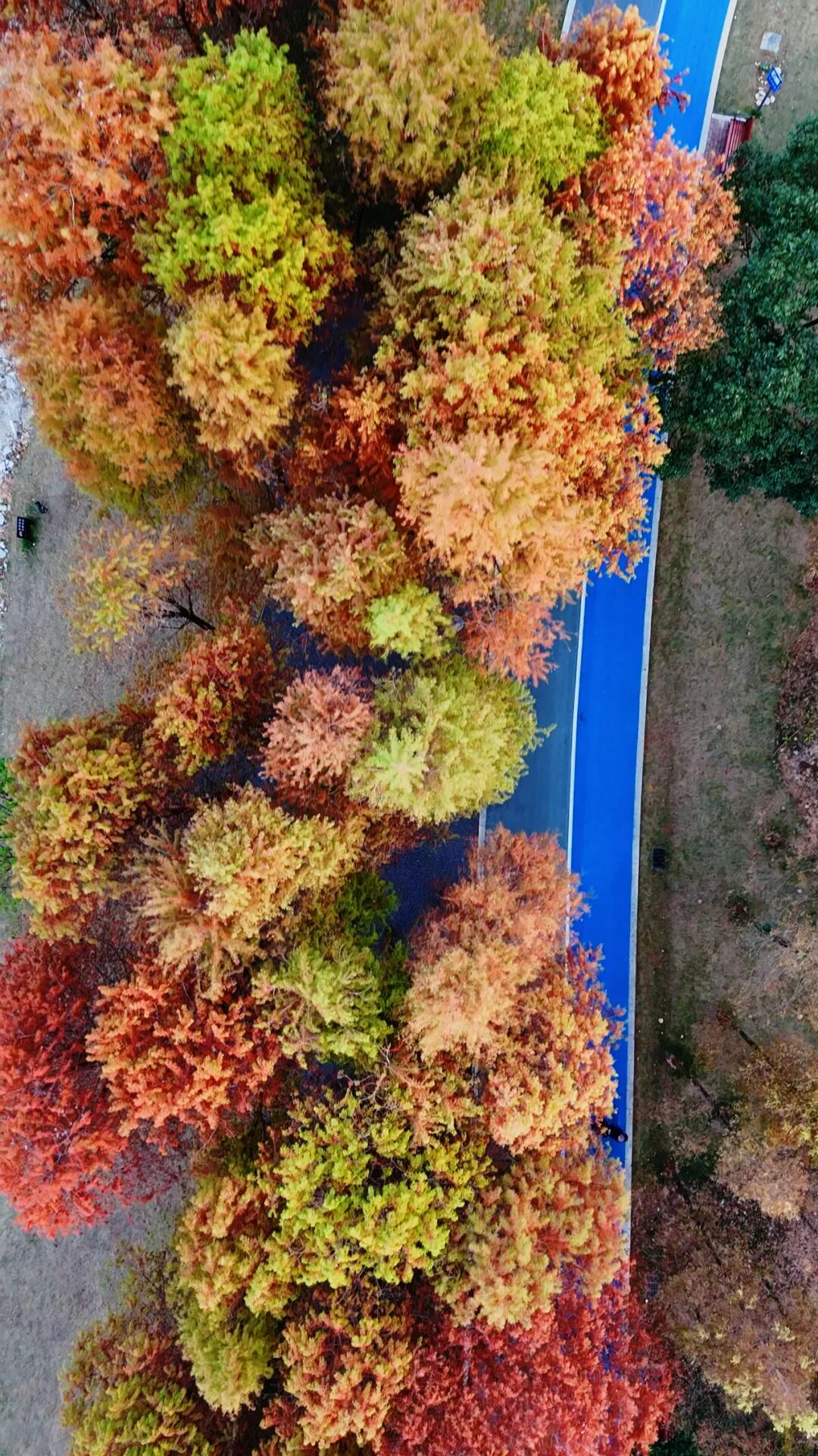 四季蕉城 | 不必远行！宁德人的油画走廊已上线