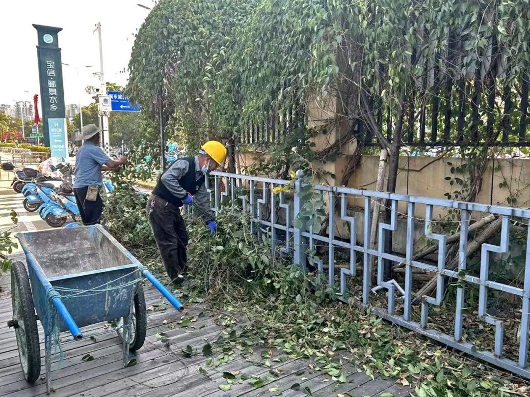楼道清爽了,停车有序了!蕉南街道这样擦亮文明底