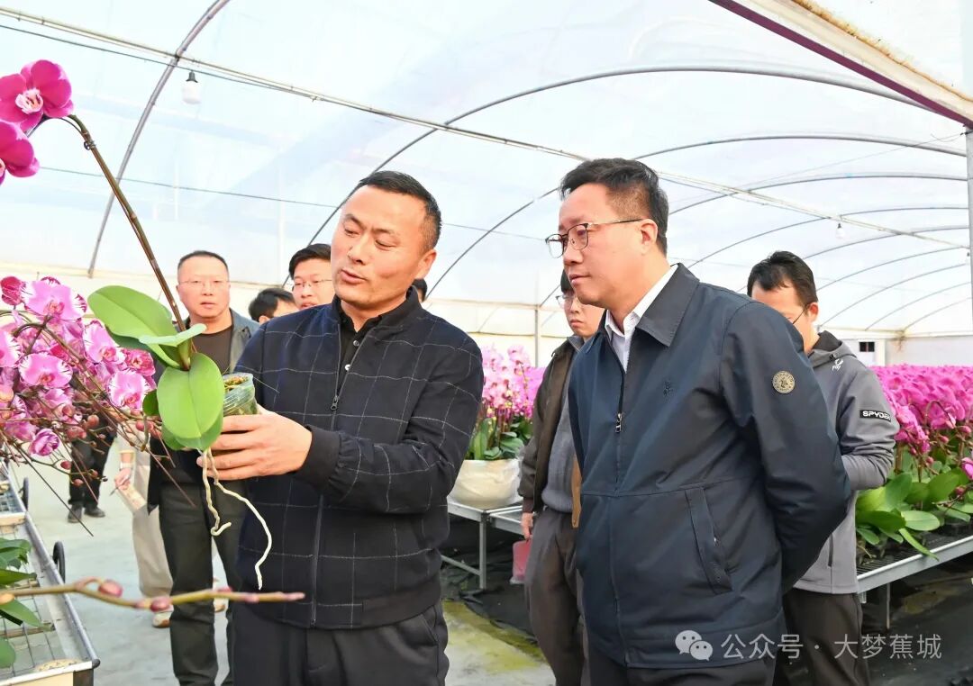 区领导赴赤溪镇开展“四下基层”调研活动暨全面从严治党主体责任检查约谈反馈会议