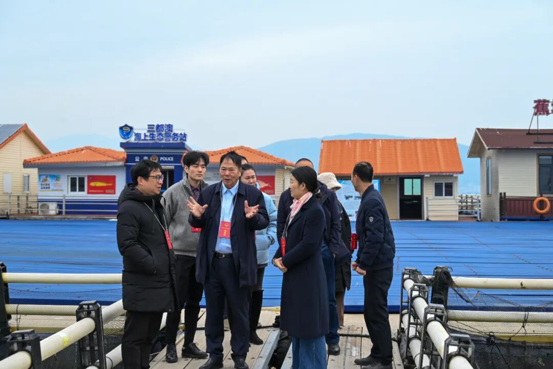 区人大常委会组织在蕉全国、省、市、区人大代表开展集中视察活动