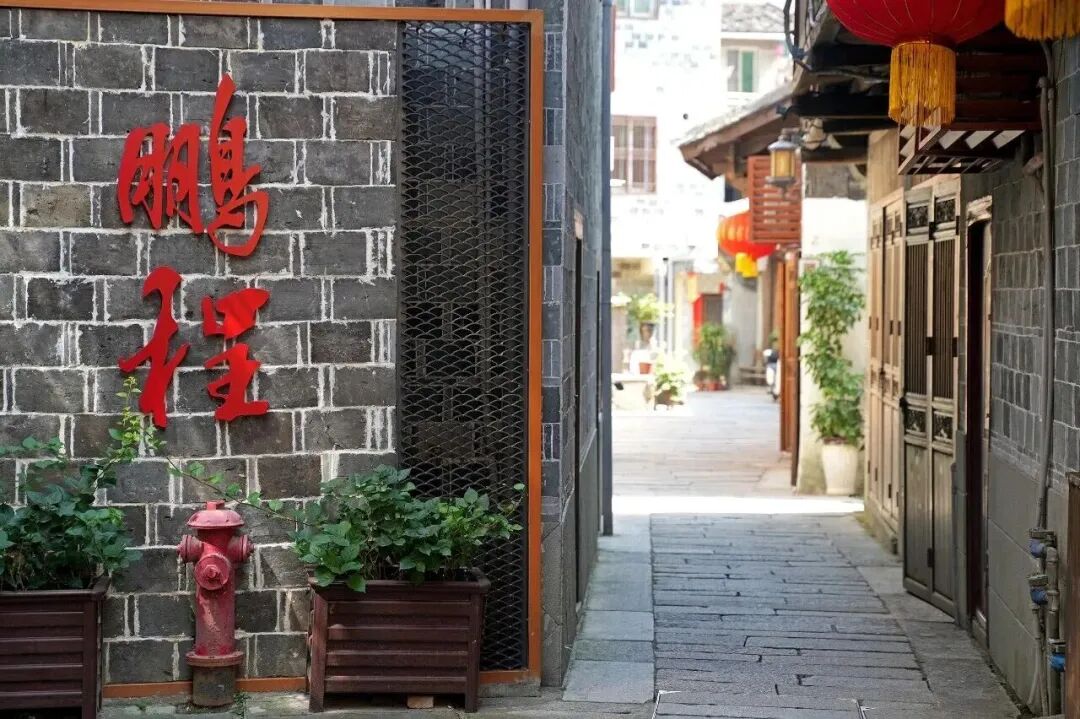 研学为桥，让老街文脉在少年心中扎根