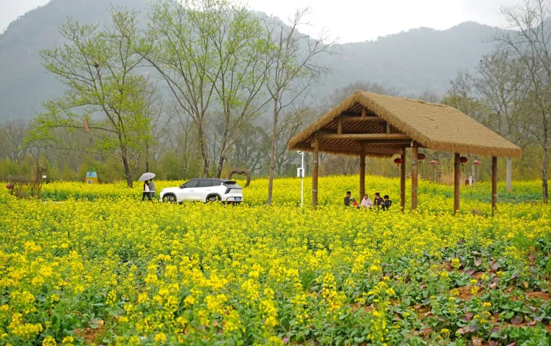 别错过！蕉城的春天就是要看花花花花花！