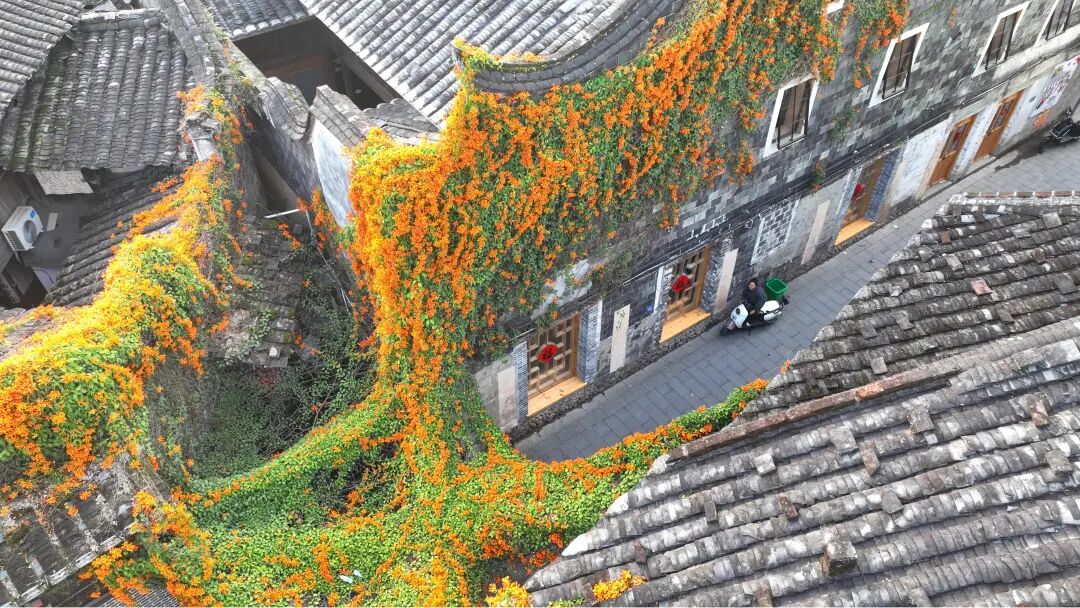 惊艳！霍童古镇的“流金瀑布”已上线~