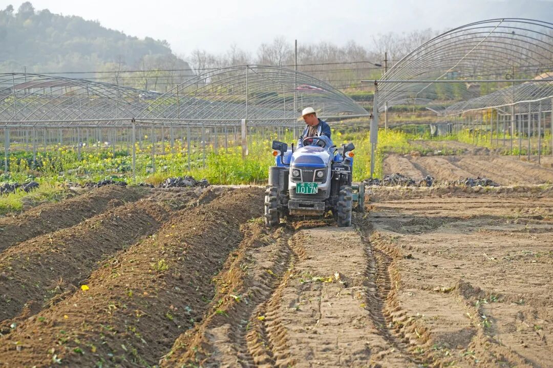 不误农时不负春！赤溪“铁牛”下田，绘出最美“春耕图”