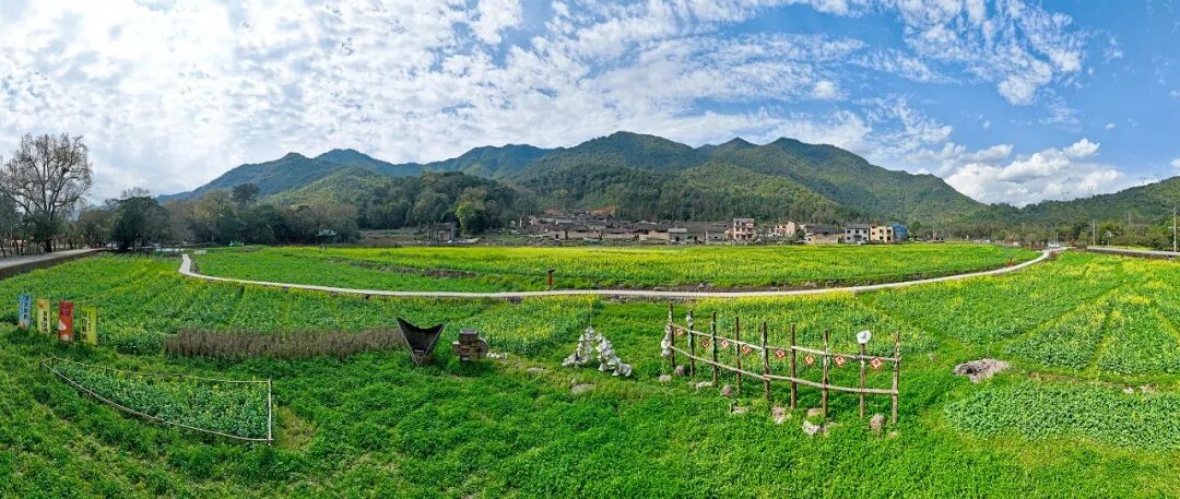 美爆了！蕉城限时“顶流”上线，错过等一年！