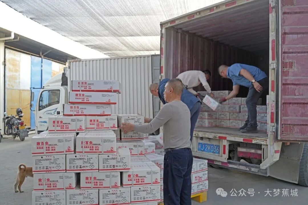 保供又“抢手”！蕉城区数千吨农资直送田间地头