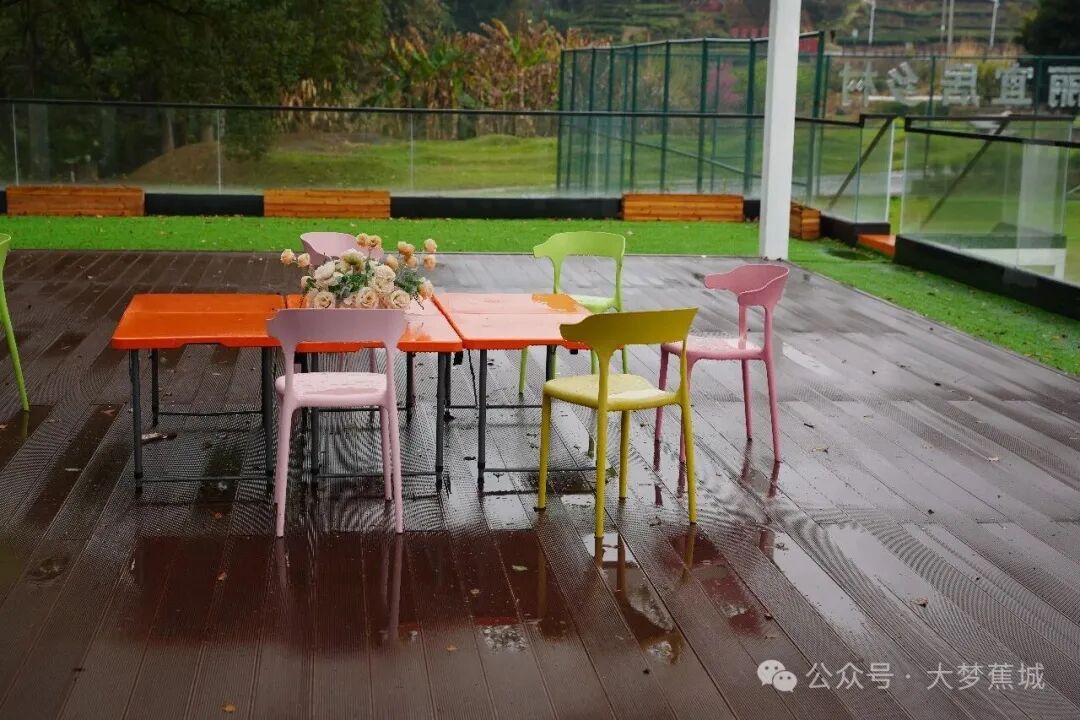 在千年原始森林边喝咖啡是什么体验？宁德“森咖”试运营→