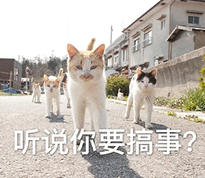54c8a001041341eaae44f50db12c7e78.gif