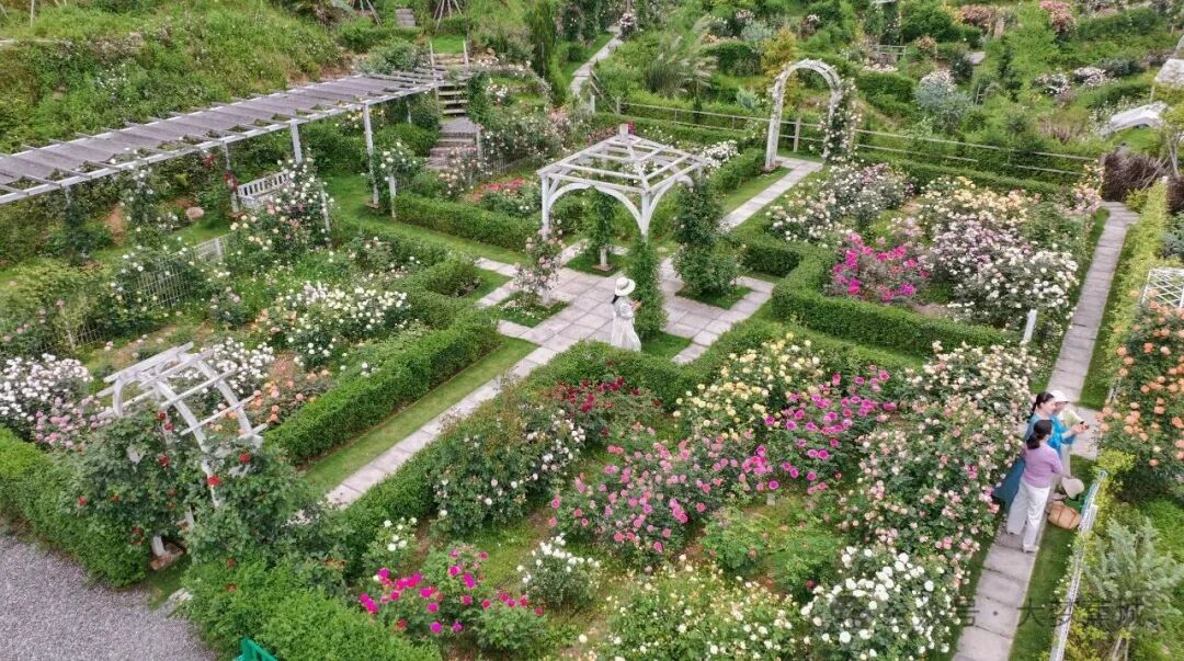 避开人海！蕉城这座低调的乡村花园，&ldquo;五一&rdquo;去正