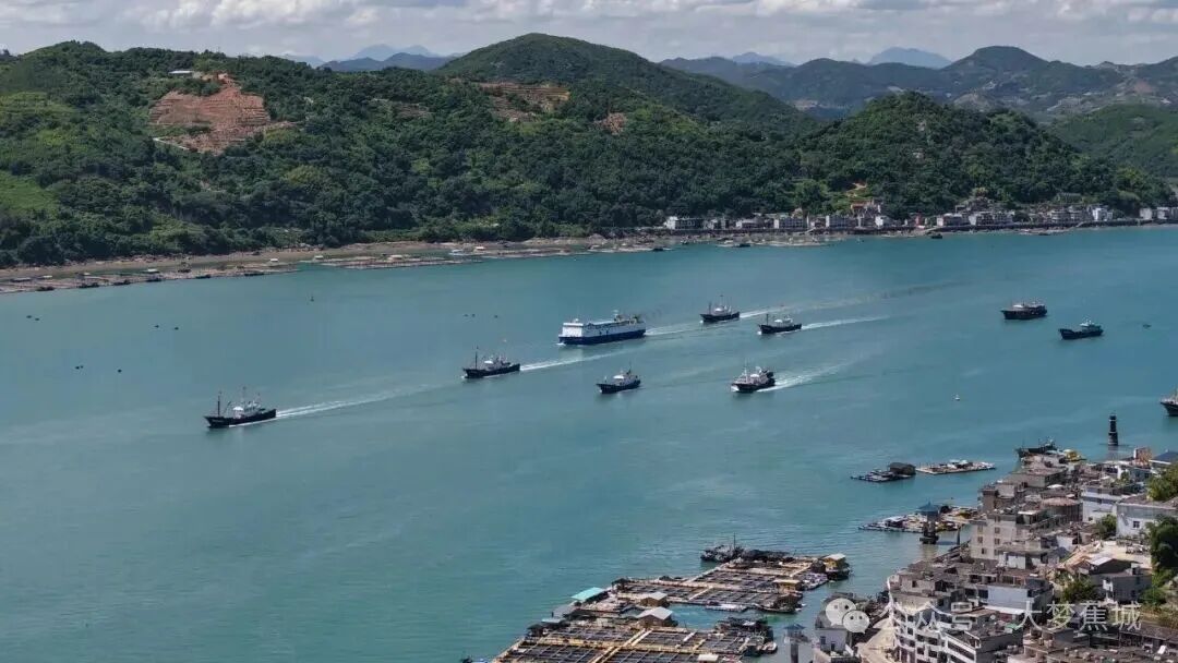 福鼎这片叶，何以成为“共富密码”？