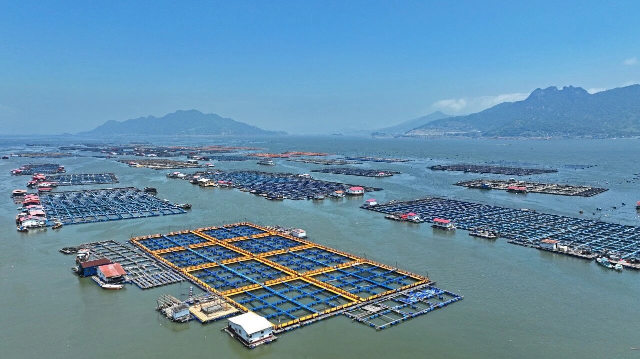 渔排加固、船舶归港！蕉城三都澳全域迅速响应！