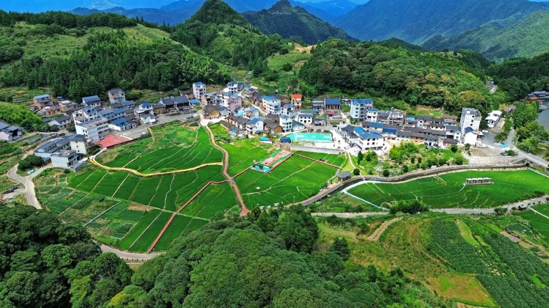 一把口琴，两岸和声！蕉城下竹洋的振兴密码